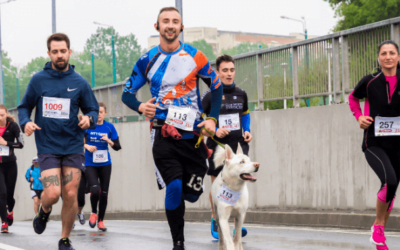 How to run a marathon faster