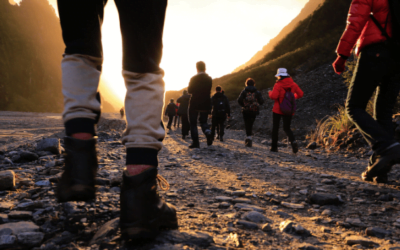 How many calories does walking burn?