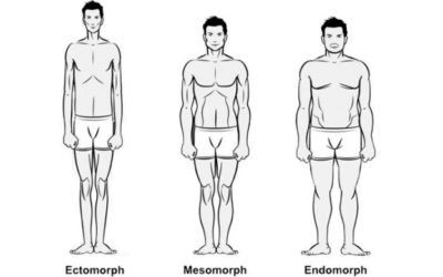 Body Types: What is an Ectomorph, Mesomorph or Endomorph?